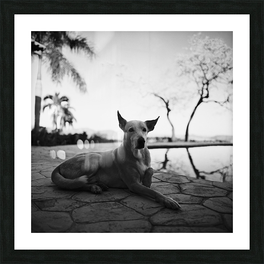 Pool Boy Picture Frame print