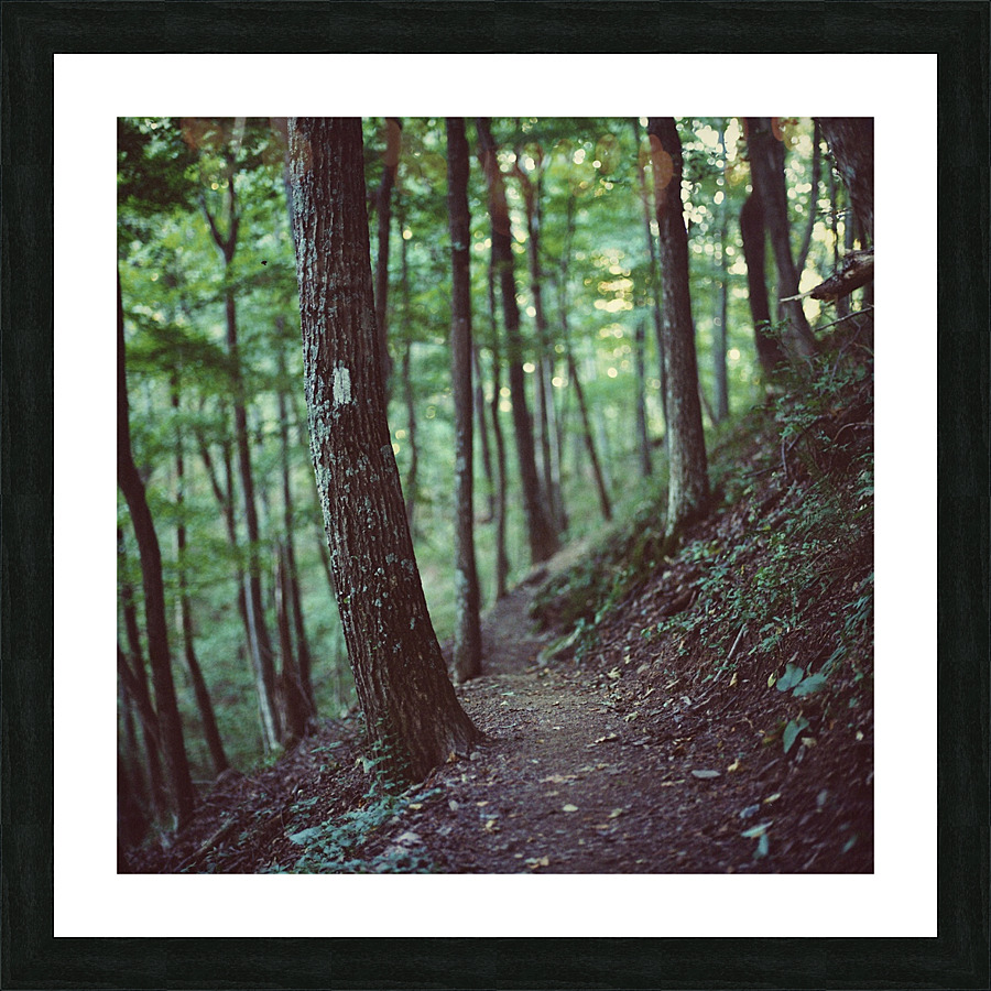 White Blazes Picture Frame print