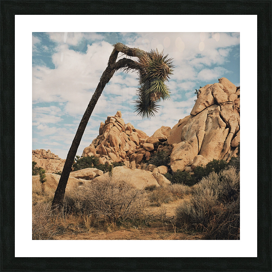 Helplessly Hoping Picture Frame print