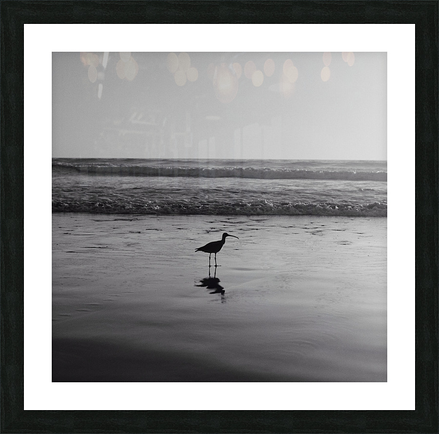 Torrey Pines Picture Frame print