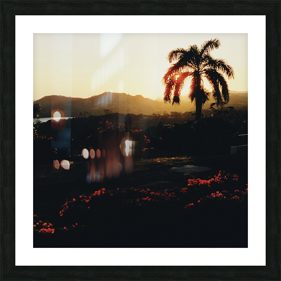 Cognac Nights Picture Frame print