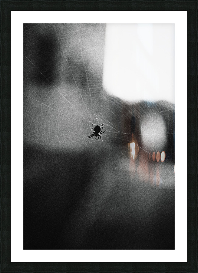 Charlotte  Picture Frame print