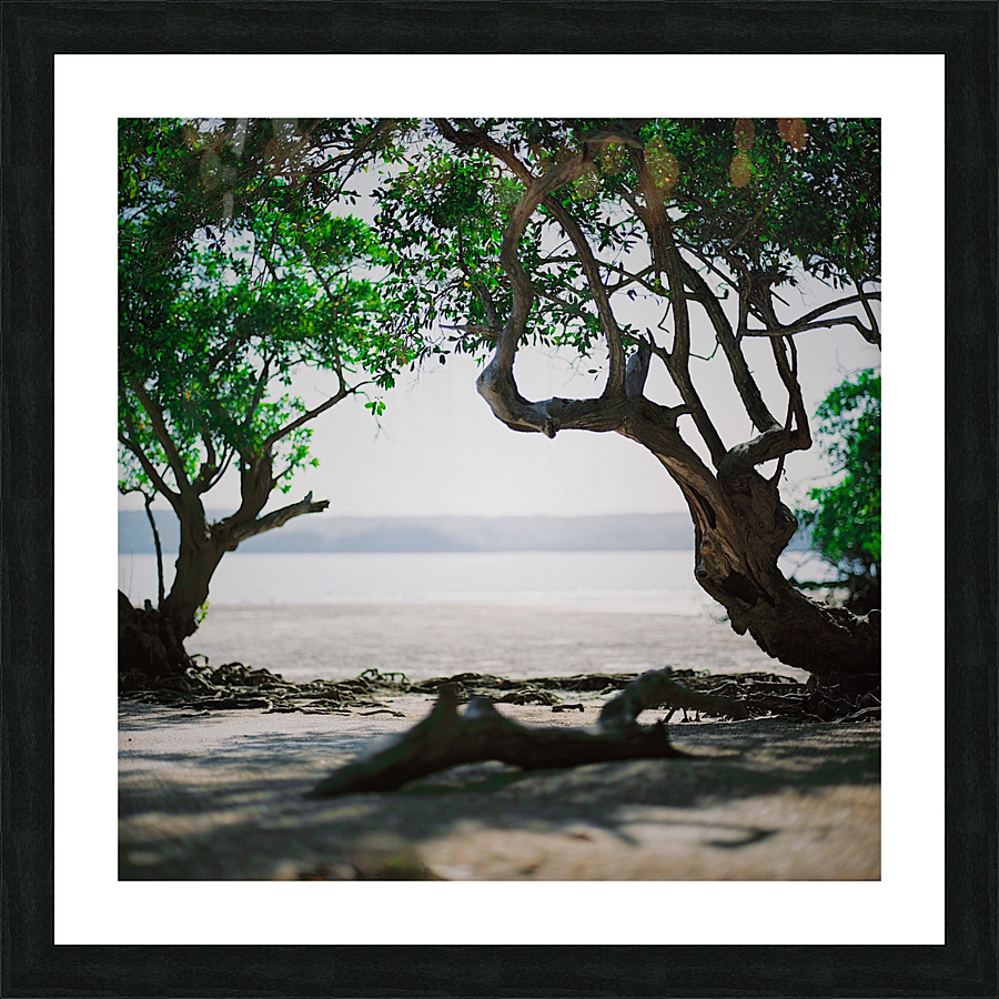 Looking Glass Picture Frame print