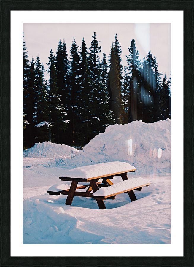 Picnic Picture Frame print