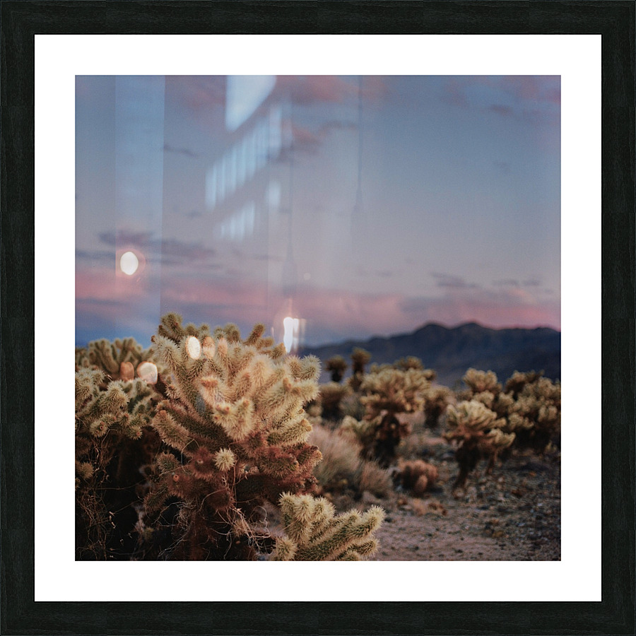 Cholla Forest Picture Frame print