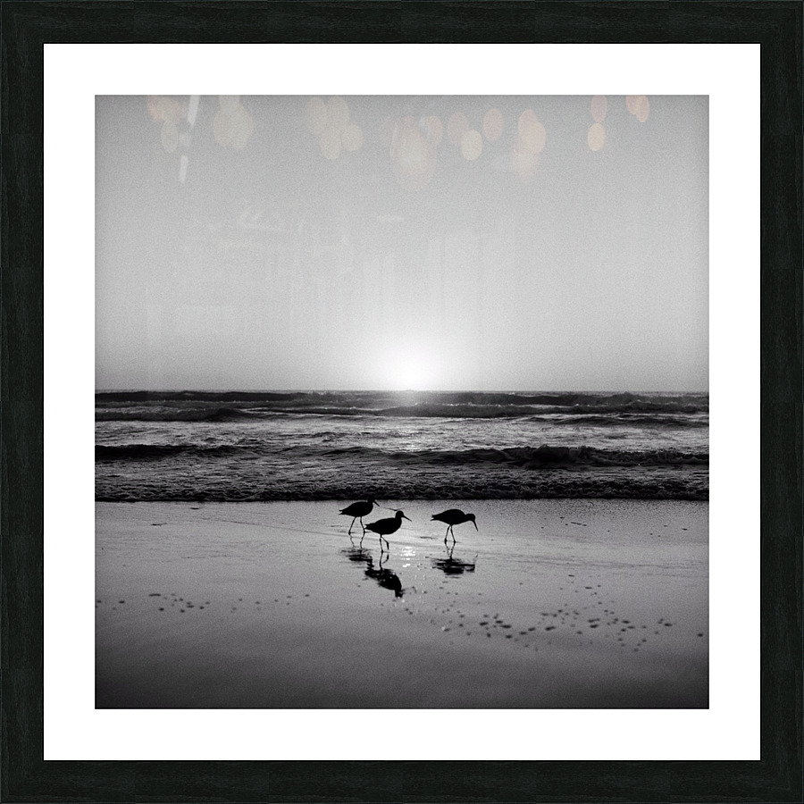 Wing Man Picture Frame print