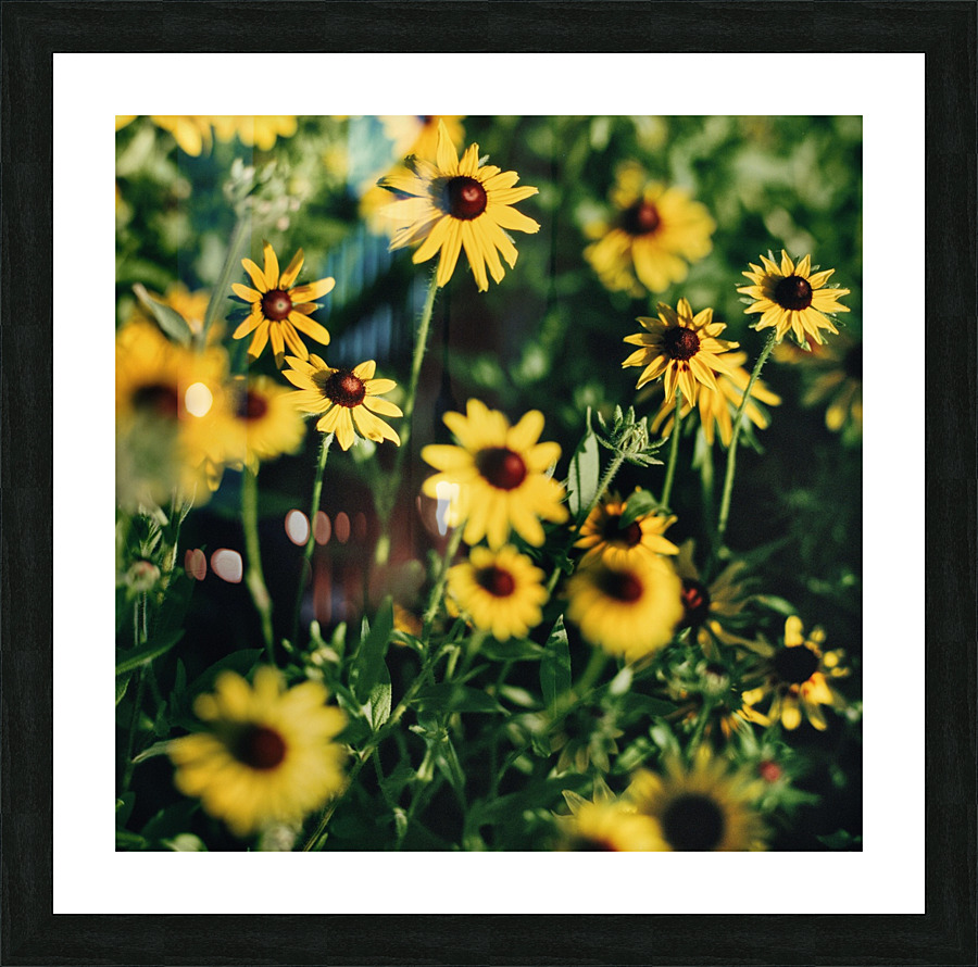 Farm Hand Picture Frame print