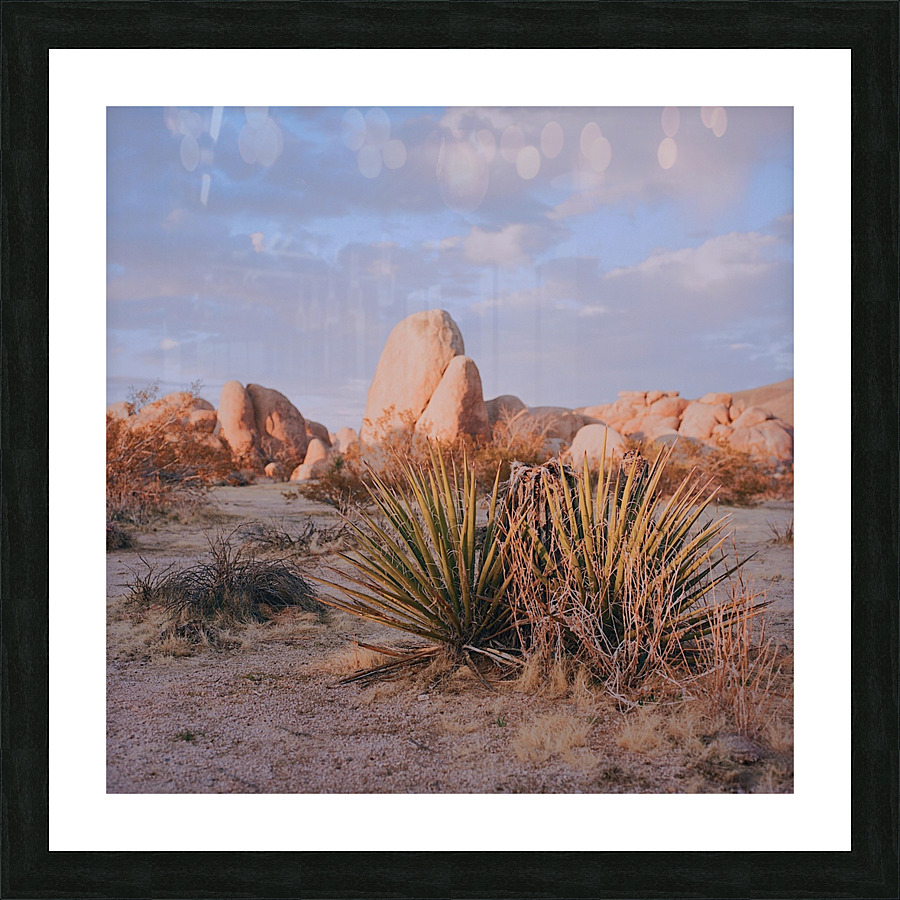 For Joshua  Picture Frame print