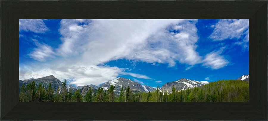 Bird Watcher Picture Frame print