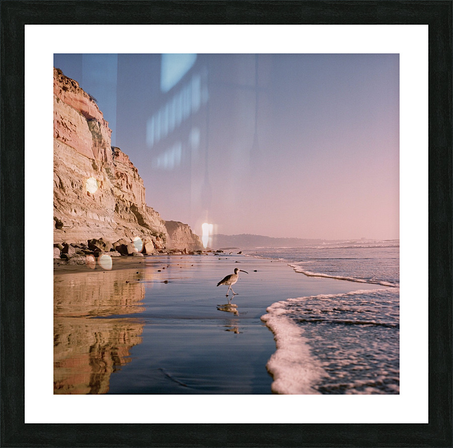 Vagabond Picture Frame print