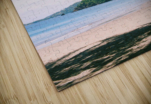 Hermosa Jordan Shankman puzzle