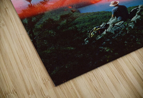 Plein Air Jordan Shankman puzzle