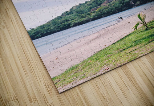 Forgotten Beach Jordan Shankman puzzle