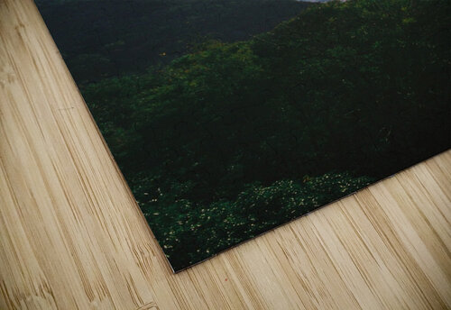 Infinity House Jordan Shankman puzzle