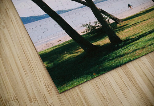Playa Hermosa Jordan Shankman puzzle