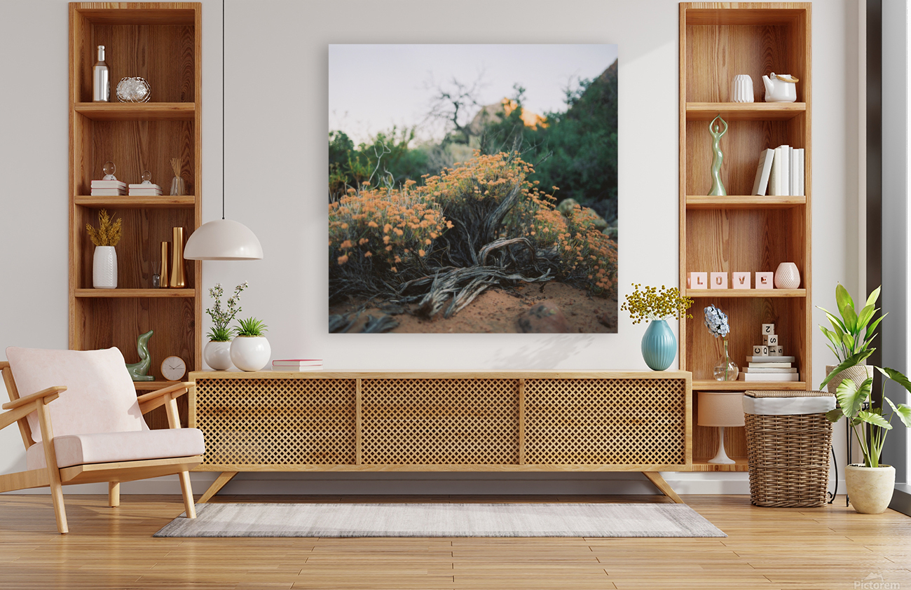 Natural Arrangement  Reproduction