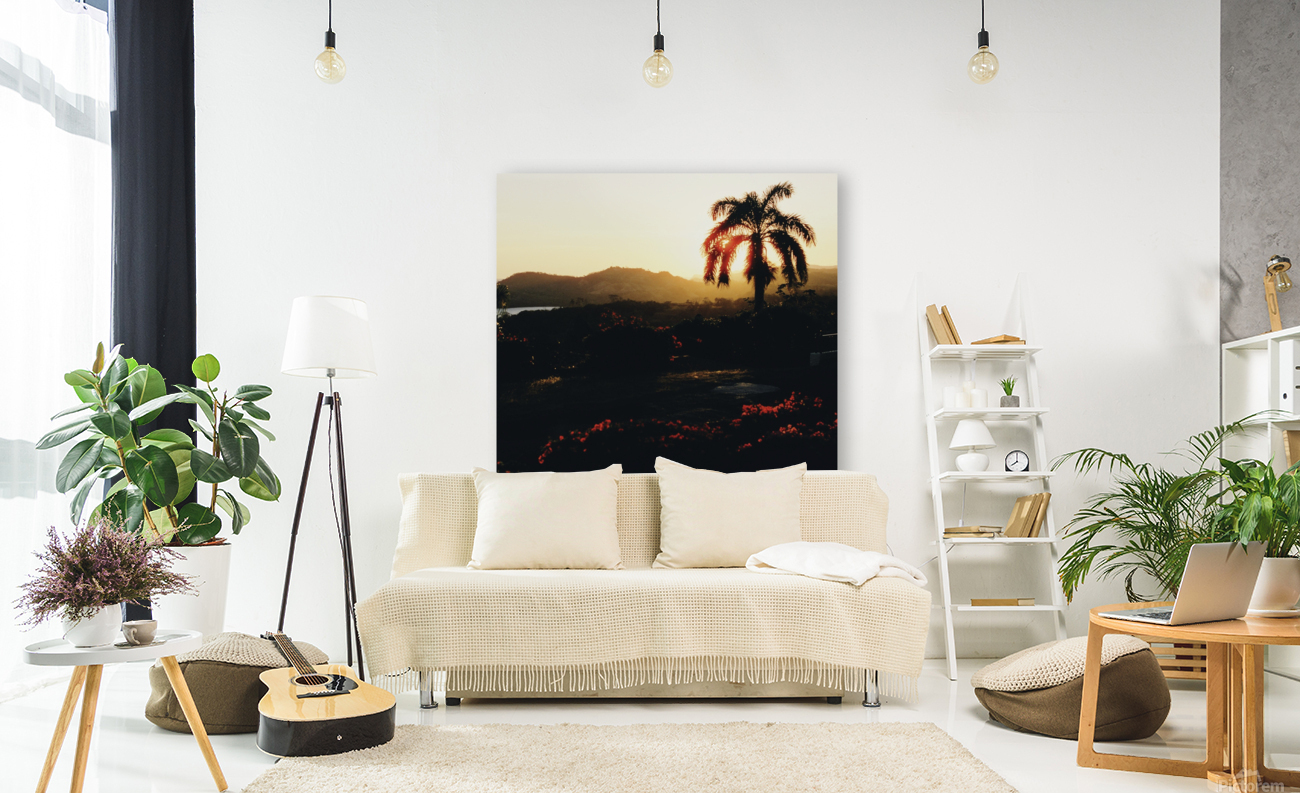 Cognac Nights Reproduction