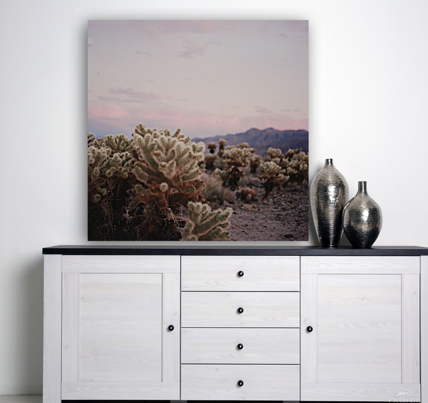 Cholla Gardens Reproduction
