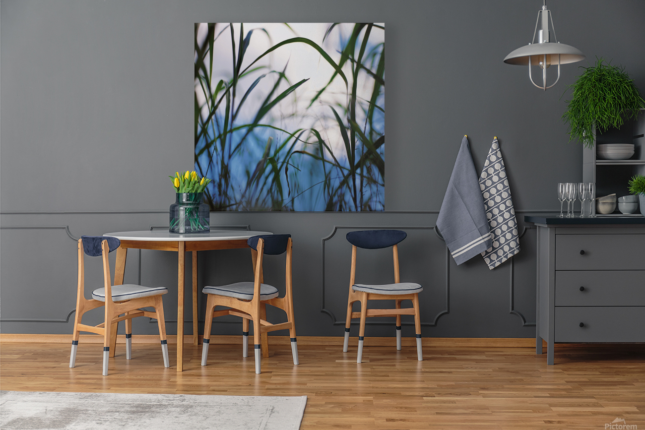 Floating Weeds Reproduction