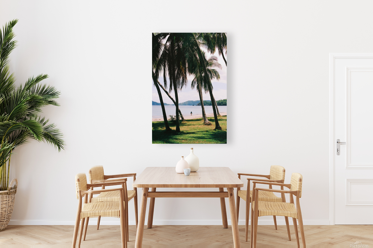 Playa Hermosa Reproduction