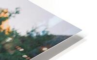 Natural Arrangement  HD Metal print