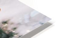 Inquiring From The Hip HD Metal print