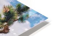 Joshua Tree HD Metal print