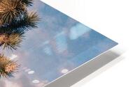Joshuas Tree HD Metal print