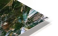 Hermosa HD Metal print