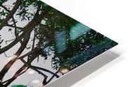 Looking Glass HD Metal print
