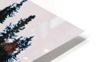 Picnic HD Metal print