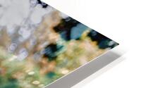 Long Gone HD Metal print