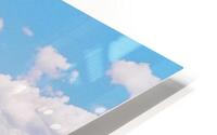 Large Format HD Metal print