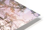 Infinity House HD Metal print