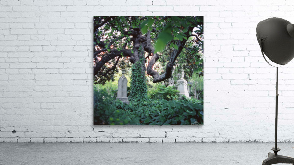 Necropolis Wall Preview