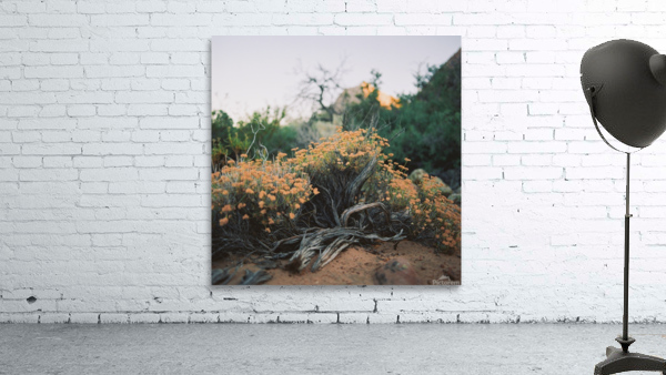 Natural Arrangement  Wall Preview