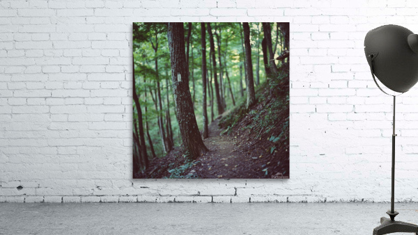 White Blazes Wall Preview