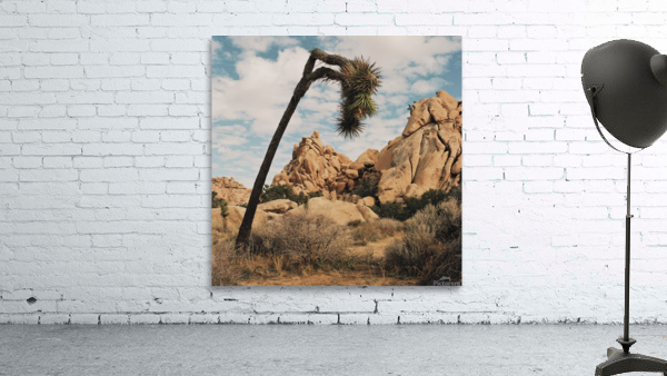 Helplessly Hoping Wall Preview