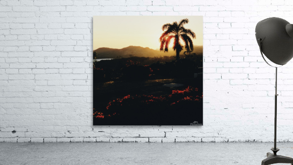 Cognac Nights Wall Preview