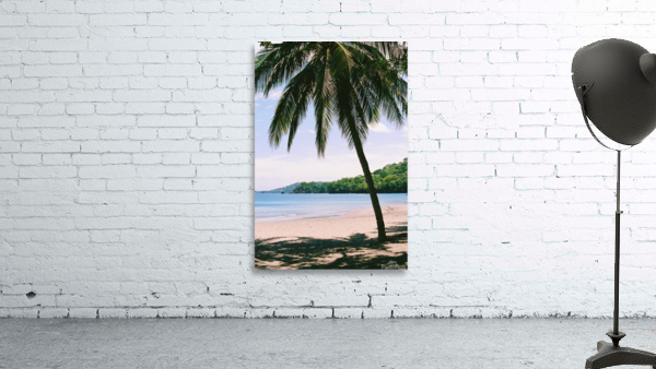 Hermosa Wall Preview
