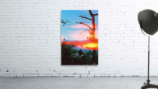 Plein Air Wall Preview