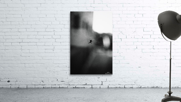 Charlotte  Wall Preview