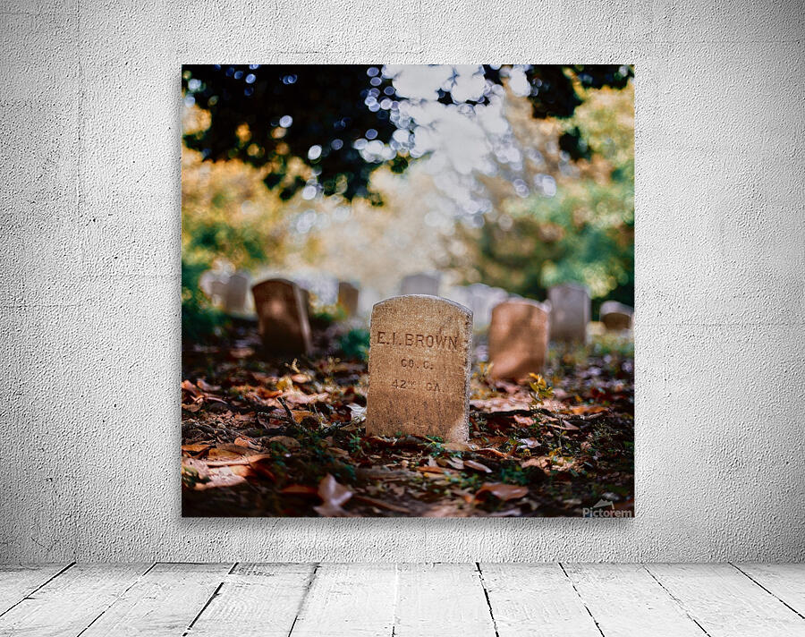 Long Gone Wall Preview