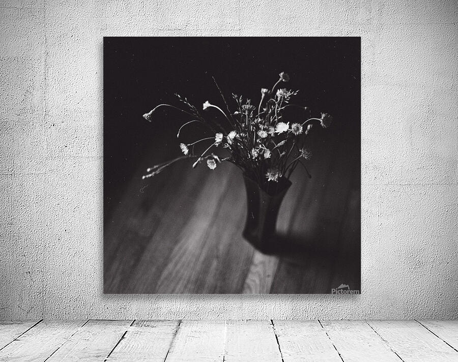 Still Lives Wall Preview