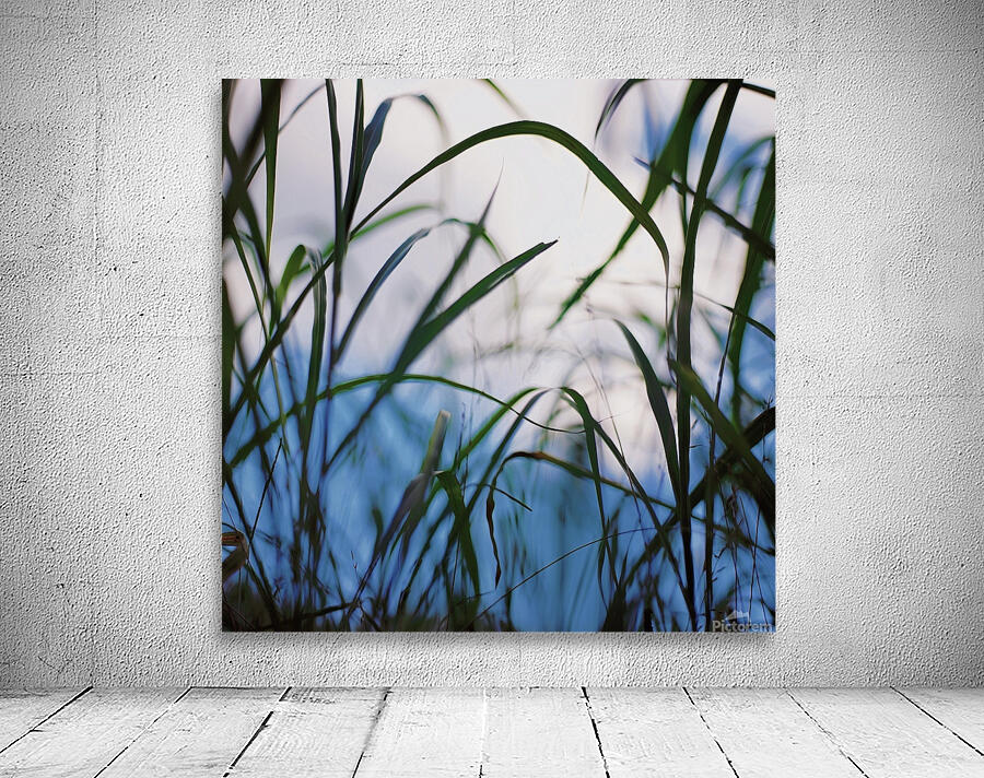 Floating Weeds Wall Preview