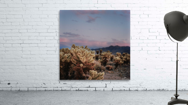 Cholla Forest Wall Preview