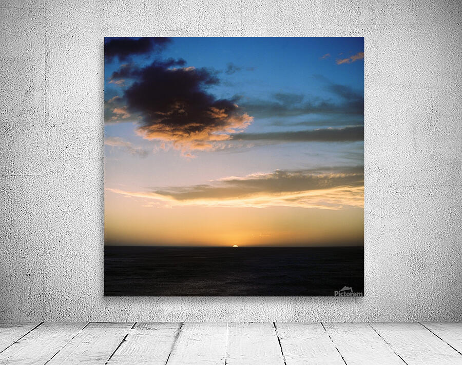 Playa Flamingo Wall Preview