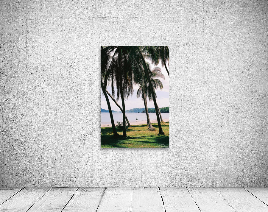 Playa Hermosa Wall Preview