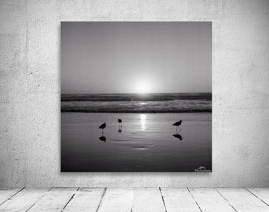Bird Watcher Wall Preview
