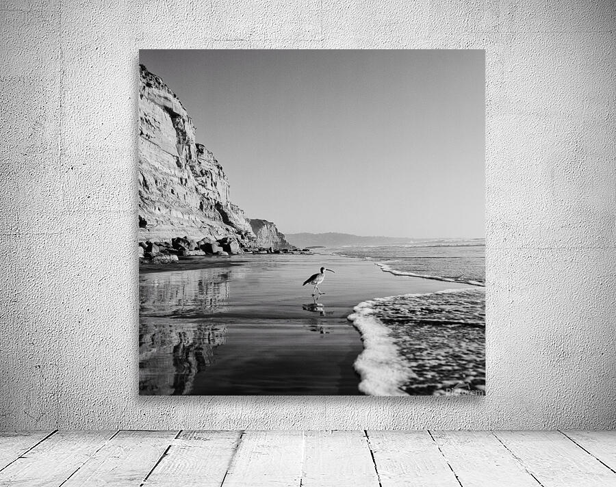 Vagabond - B&W Wall Preview